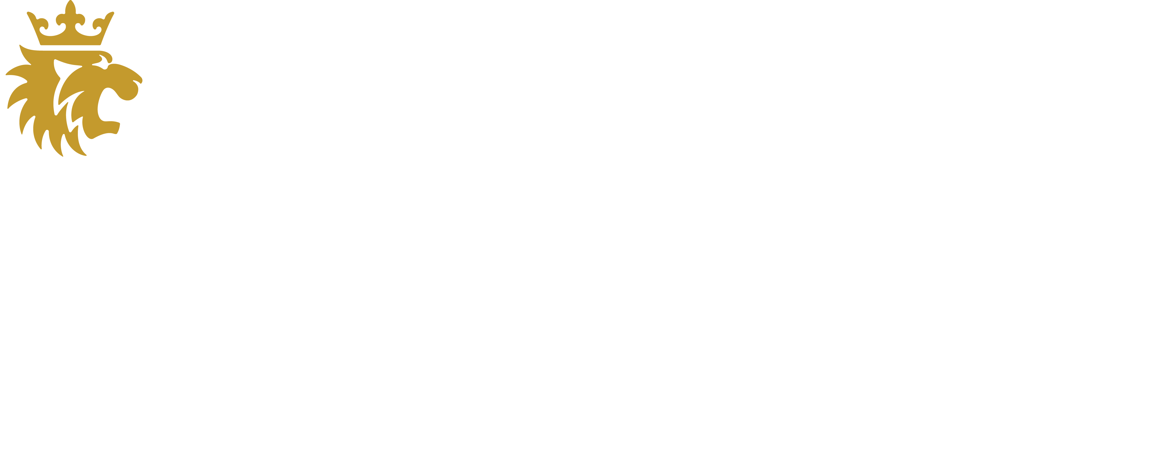 Infinite Roar